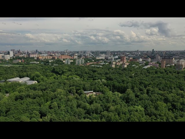 Парк Сокольники, Москва, 17.07.22 (Sokolniki Park, Moscow)