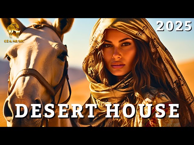 Cafe Mesopotamia - Desert House (DJ MIX 2025)