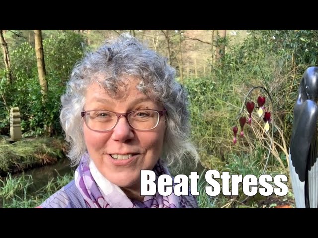 Beat Stress - Discover Rest : My Sabbath Experiment (part 1)