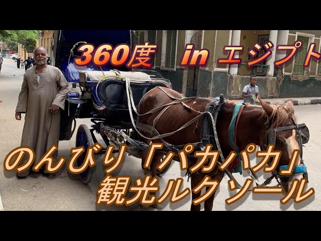 馬車でルクソール博物館へ ルクソールが繁栄したのはなぜ？