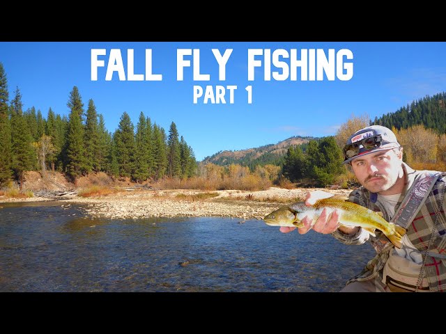 Thousands of People drive by this Idaho River Full of Trout! Part 1