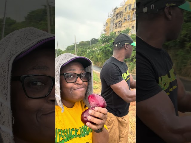 Eating Otaheiti (Jamaican) apple on the BLESSBACKJAMDOWN Missions trip! A suh me stay yah! Hush 🤣🤣