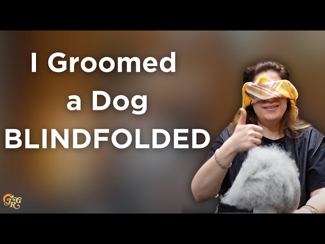 I Groomed a Dog BLINDFOLDED!