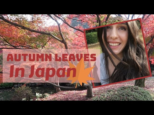 AUTUMN LEAVES IN JAPAN | 10 Things I Won't Miss About Japan