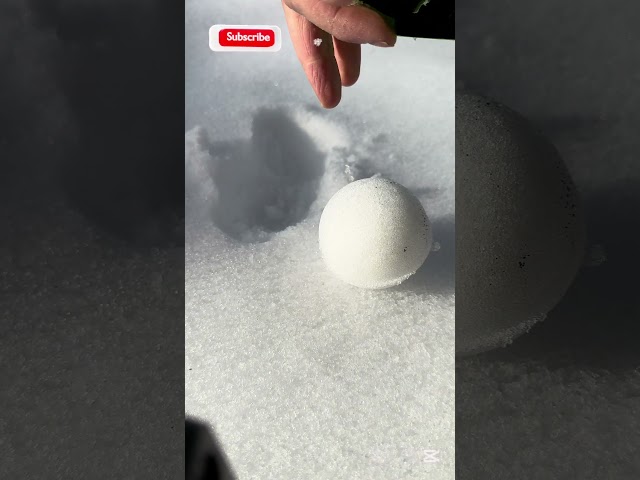 Have you seen such beautiful snowballs? #trending #snow #snowball