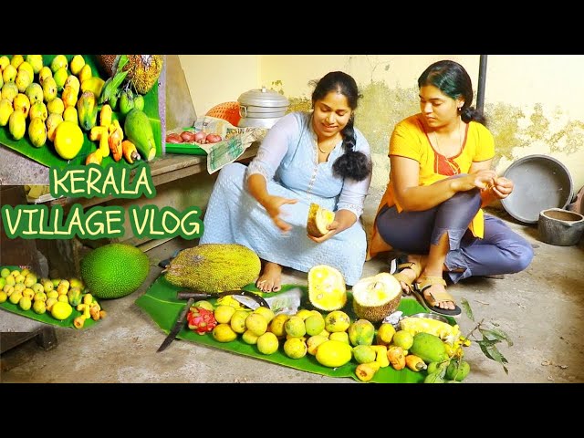 ഞാൻ ജനിച്ചു വളർന്ന വീട്🥰KERALA VILLAGE VLOG || VACATION  KERALA VLOG