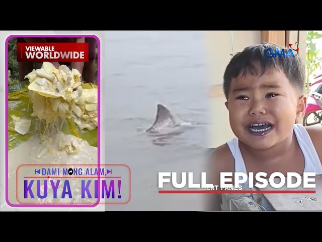 Bata, aksidenteng nakalunok ng bubblegum?; Pating, nakita sa pier?! | Dami Mong Alam, Kuya Kim!