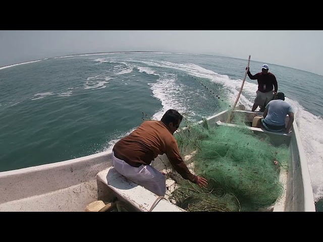 PESCA CON RED EN BOCANA DE PAREDON