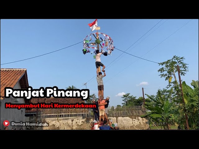 PANJAT PINANG ATAU NAIK JAMBE || kegiatan menyambut hari kemerdekaan #kemerdekaanindonesia