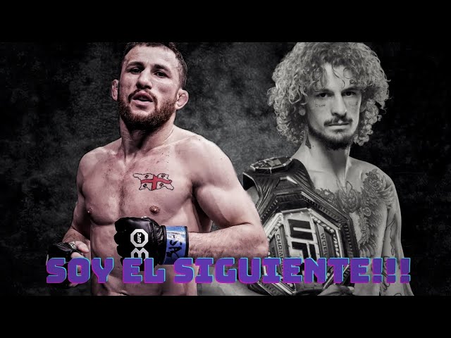 The Dilemma of Starting Opportunities in the UFC: Justice or Spectacle???