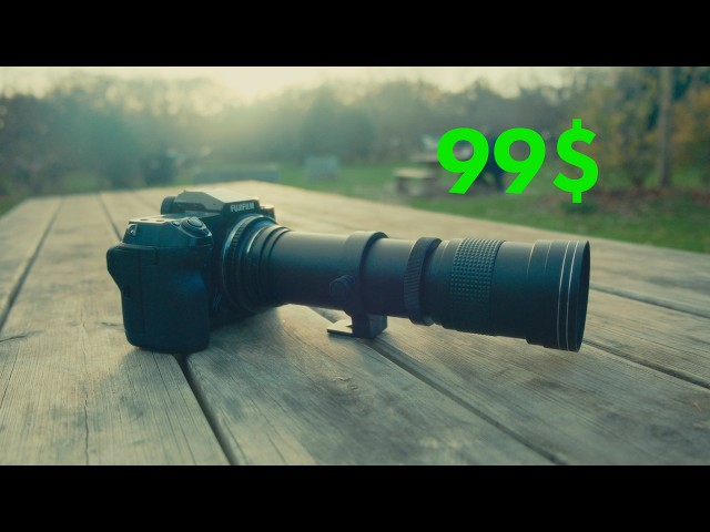 The CHEAPEST 800mm Lens on Amazon - How Good Can it be?