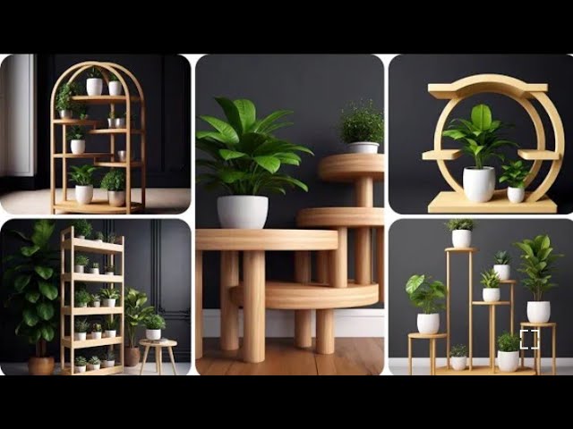 Decorate Your Space with AMAZING Indoor Plants