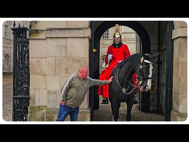 UPDATE on the RUNAWAY HORSE - Then This Happens Before Horse Guards is closed!