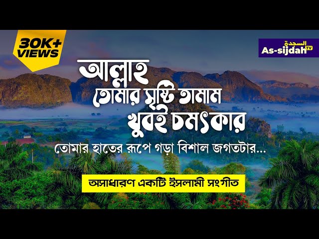 আল্লাহ তোমার সৃষ্টি তামাম খুবই চমৎকার | Islamic Song | @AssijdahTV