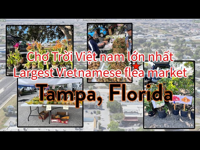 Asian Vietnamese largest farmer market in Tampa - Pinellas #walking #tampa #florida #farmermarket