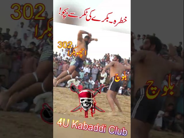 Achu Bakra kabaddi dangal with Baloch #shorts #wrestling #funnyshorts #kabaddigame #kabaddishorts