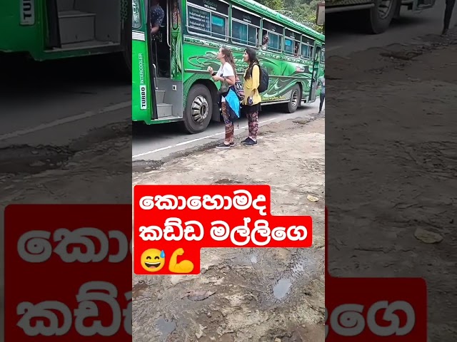 මිලියන 3.23  බලපු  Amazing cunducter😅😅in privet bus වෝටr ෆෝල්ස් කිව්වා නැග්ගා💪👍🏆🎵 #conductor#funny