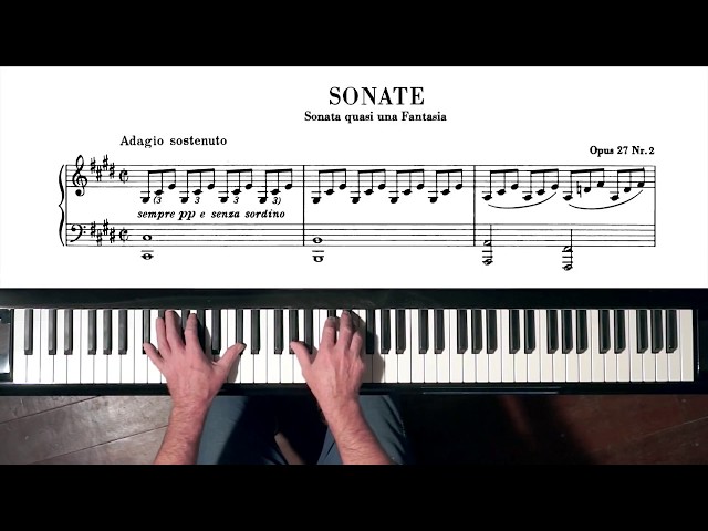 TUTORIAL - Beethoven “Moonlight Sonata” 1st mov. P. Barton FEURICH piano