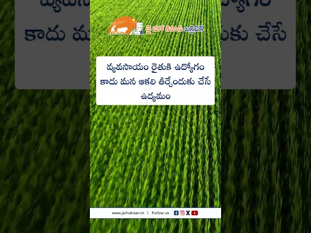 JHK Farmer Quote | Motivational quotes Telugu II Inspirational Quotes II Telugu Quotes|  @JaiHoKisan