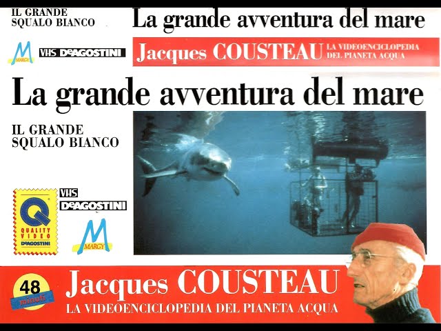 Il grande squalo bianco La grande avventura del mare Jacques Cousteau 1993