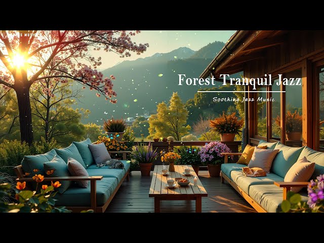 Forest Tranquil Jazz For Reading, Relaxing | Warm Porch Ambience With Soothing Jazz Music