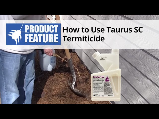 How to Use Taurus SC Termiticide | DoMyOwn.com