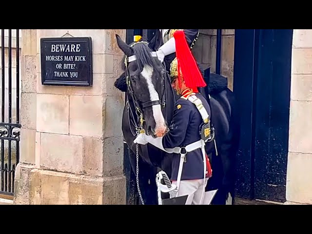 Unbelievable: Wait Until You See How This Horse Reacts To His Favorite Guard!