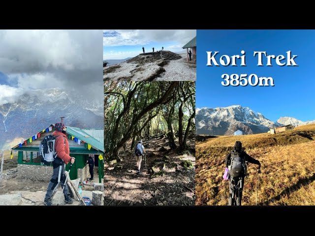 KORI TREK📍|| SIKLES TO KORI || RESHMI GHALE ||