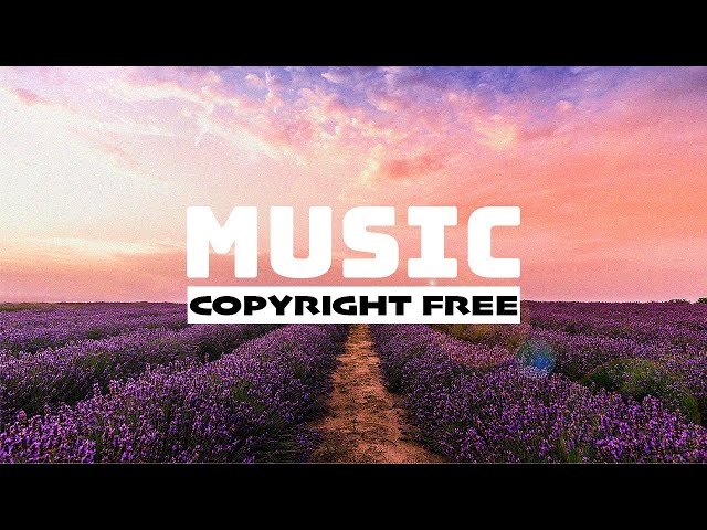 12 Hours of Free Background Music - Copyright Free Music for Creators and Streamers