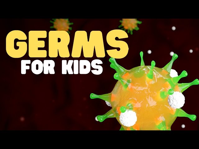 Germs for Kids | Learn all about bacteria, viruses, fungi, and protozoa