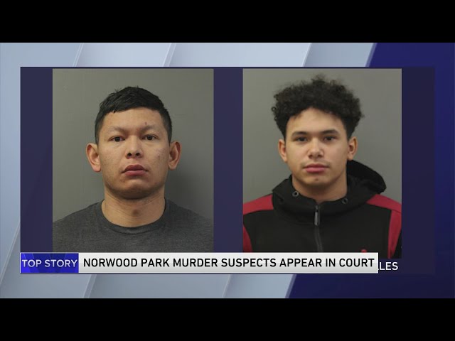 Norwood Park murder suspects appear in court