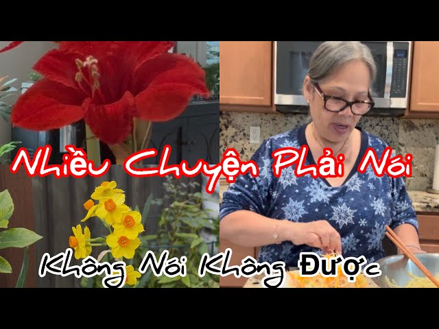 Vlog 996: Mới Đầu Năm  2025 Vào Tháng 1 Mà  Nhiều  Chuyện Để  Kể