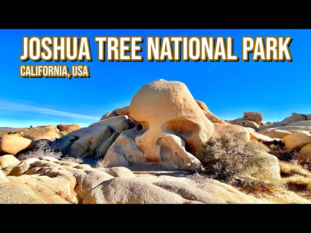 HIKE TO SKULL SHAPED ROCK - Skull Rock - Joshua Tree National Park - Full Hike