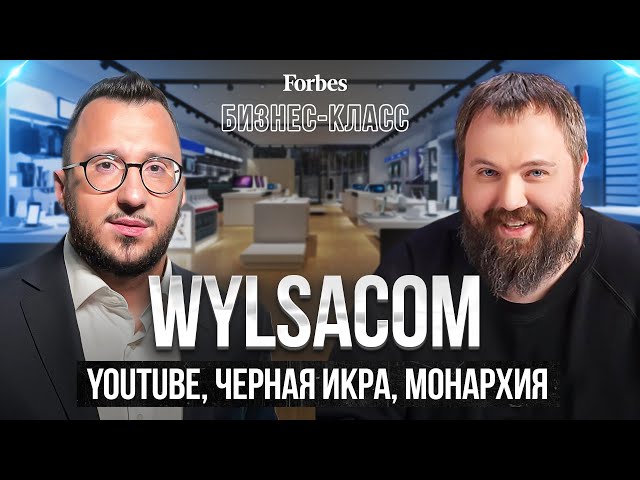 Wylsacom. О «Вконтакте», YouTube, Лиге безопасного интернета и эмигрантах, скучающих по «Госуслугам»