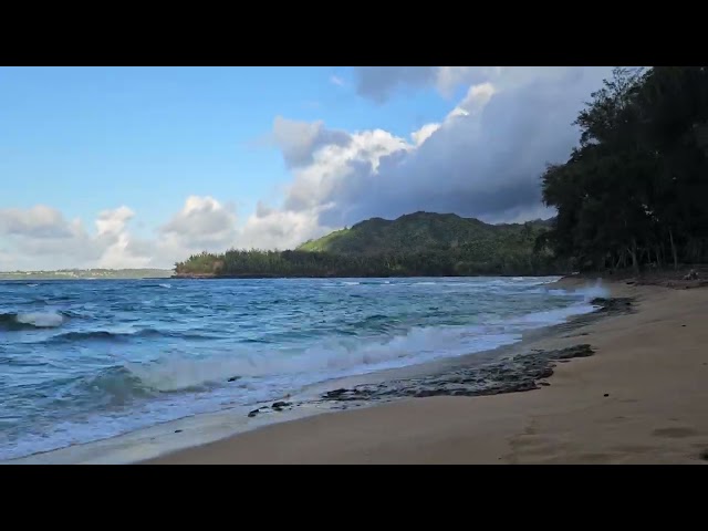 Wainiha Bay Park