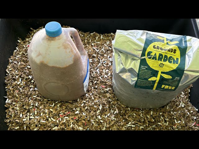 Anaerobic Bacteria - Good or Bad? Plus Pre-compost Refresher