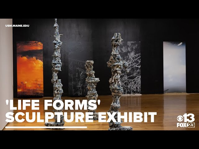 University of Southern Maine hosts 'Life Forms' sculpture exhibit