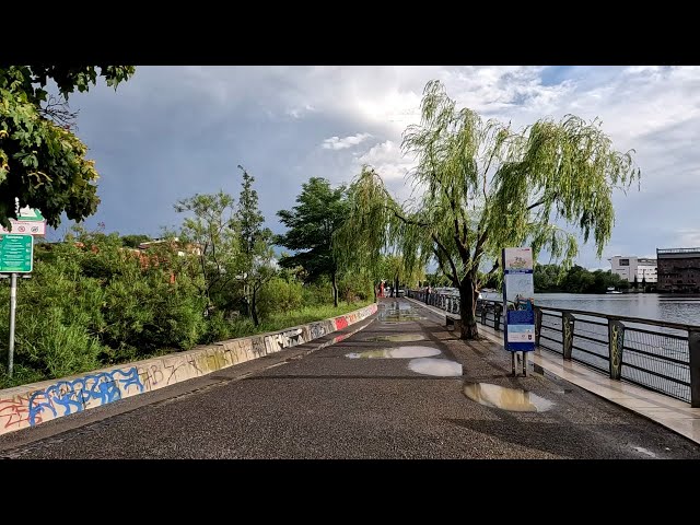 Walking after rain along a lake in Berlin (2023-07-29) [4K 120 fps]