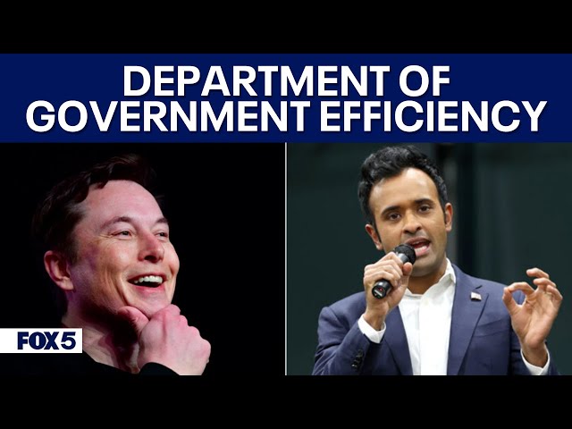 What will the Department of Government Efficiency actually do?