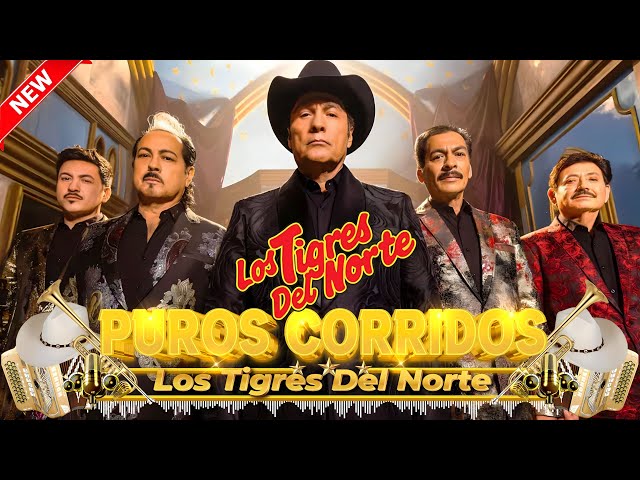 Los Tigres Del Norte🤠 Mix 25 Éxitos~Puros Corridos De Los Tigres Del Norte🔥 Mix Para Pistear 2025✅y8