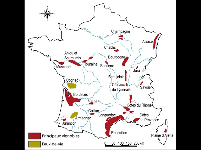 History of French wine | Wikipedia audio article