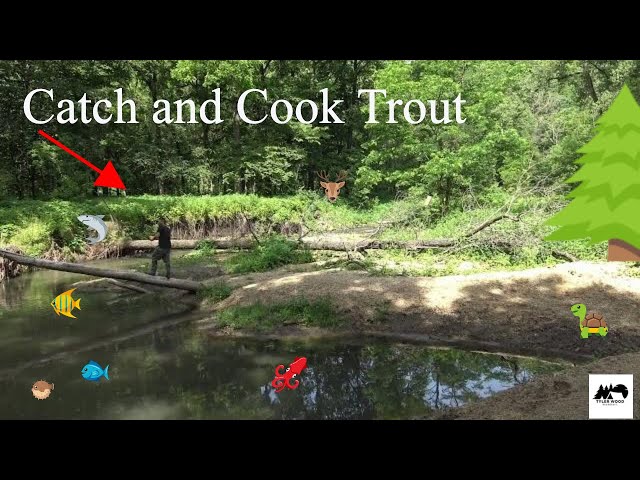 WoodSquad Gathering | Day 2 Catch and Cook Trout