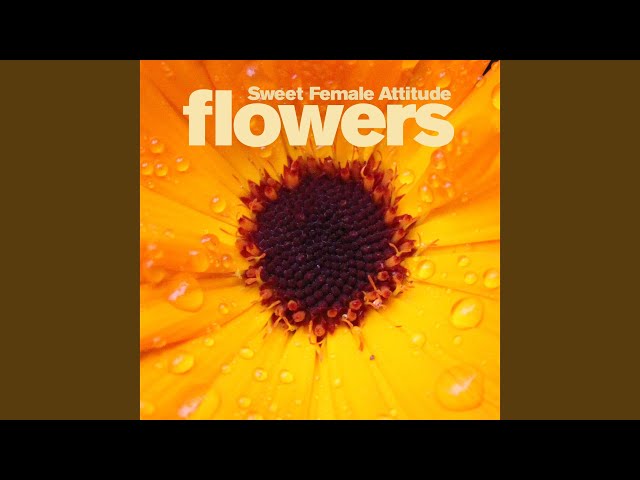 Flowers (Sunship Remix)