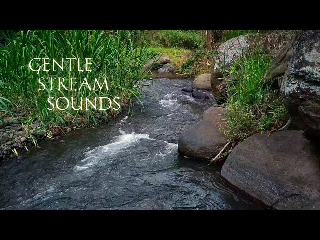 GENTLE STREAM SOUNDS, RELAXING STREAM SOUNDS USE FOR RELAXATION, WHITE NOISE FOR SLEEPING