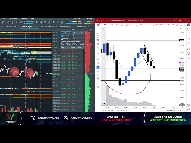 Live Day Trading