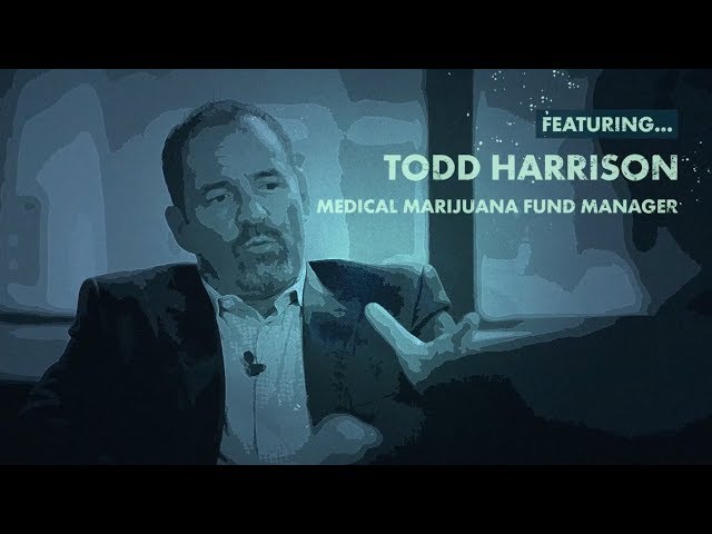 Opportunity In Marijuana Wellness (w/ Todd Harrison) | Interview | Real Vision™