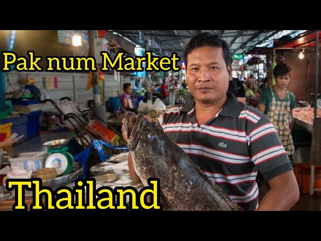 Exploring the Pak Nam seafood market Thailand 🇹🇭 |life in Bangkok