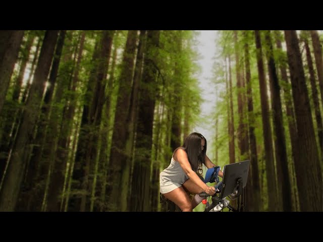 “Let’s Explore Ave of the Giants California” #youtube #video #cycling #peloton