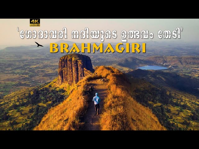 Solo Trek to Origin of Godavari River | BRAHMAGIRI near HARIHAR FORT | Malayalam Vlog (English CC)