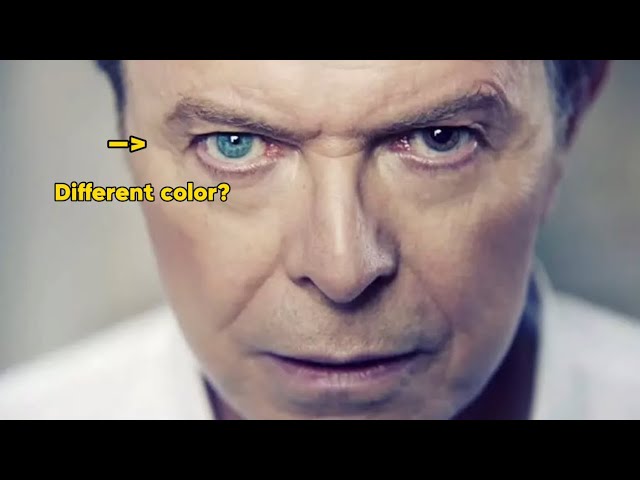 10 Facts About David Bowie!